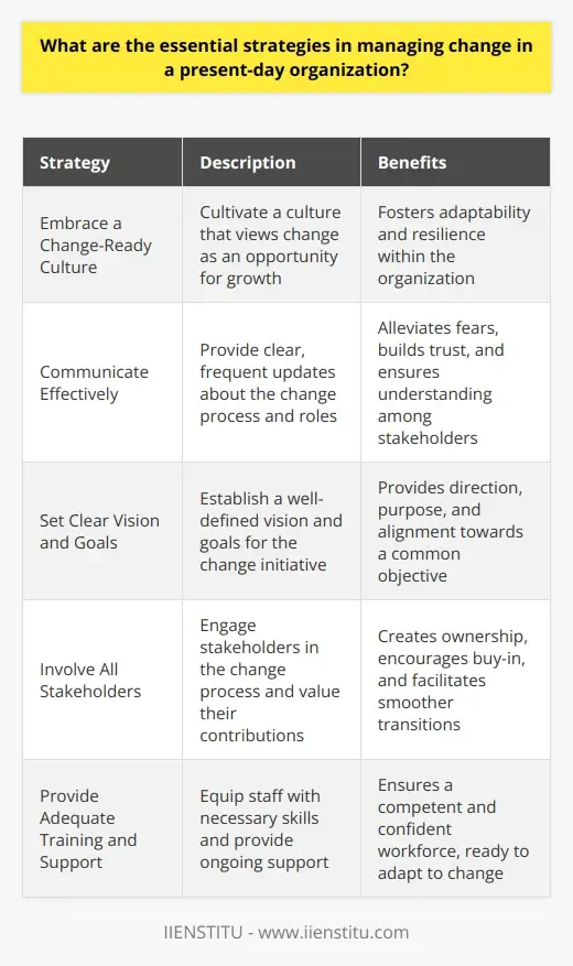 Change Management: Essential Strategies for… | IIENSTITU