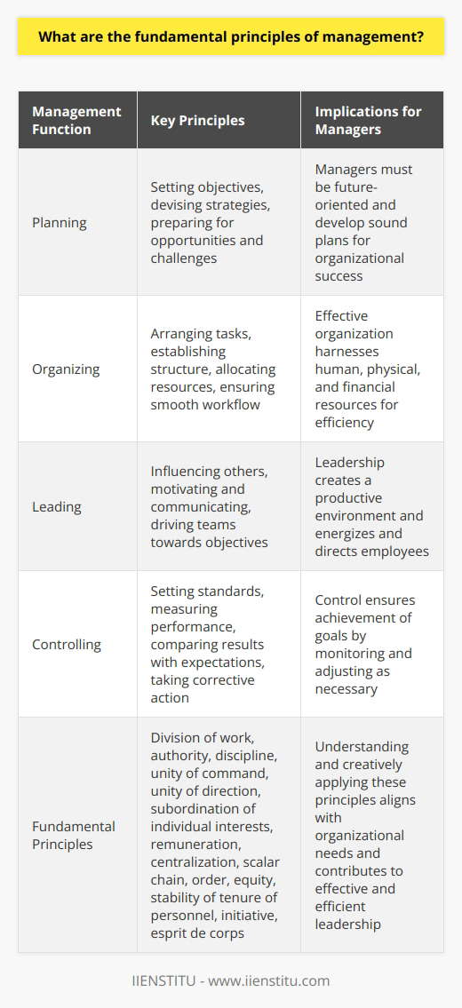 Management Principles Dark Define Management: Core Principles Unveiled | IIENSTITU