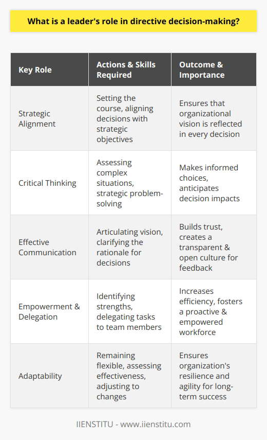 Directive Decision-Making: Who Influences… | IIENSTITU