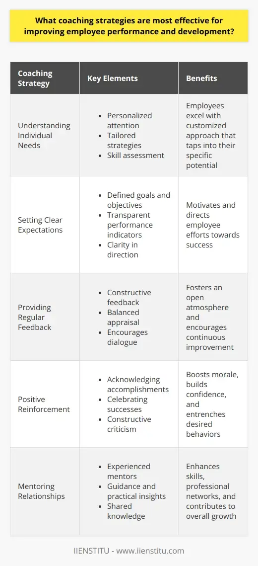 Effective Coaching Strategies: Unlock Your… | IIENSTITU