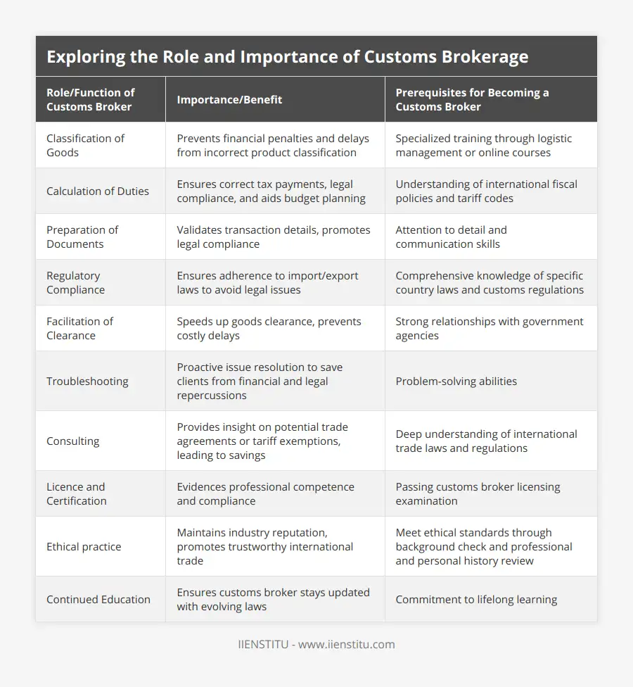 Exploring the Role and Importance of Customs… | IIENSTITU
