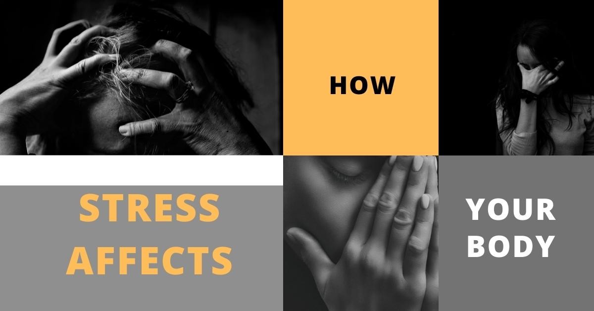 How Stress Affects Your Body?