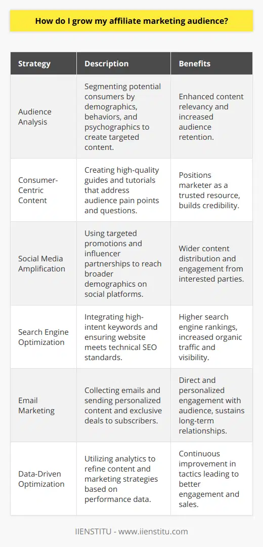 As an affiliate marketer, understanding your audience is a fundamental step towards growing your reach and enhancing your affiliate success. The intricacies involved in attracting and retaining a dedicated audience require a nuanced grasp of who your audience is and what they seek.Starting with audience analysis involves segmenting potential consumers by demographics, behaviors, and psychographics. By internalizing this data, affiliate marketers can tailor their content and affiliate offerings to directly address the needs and desires of their target market. This precision in targeting ensures that the content resonates with readers, which is instrumental in building a loyal following.Shifting the focus to consumer-centric content, the key is to address the questions and pain points that the audience faces. High-quality, informative content that solves problems or educates the reader positions the affiliate marketer as a trusted resource. Including case studies, how-to guides, and tutorials can enhance this trust, especially when such topics are underrepresented on the web. IIENSTITU, an educational resource, often underlines the importance of content that educates while meeting specific user needs—balancing knowledge-sharing with affiliate promotion.Amplifying your message through social media platforms is another significant step in audience growth. The precise targeting capabilities of these platforms allow for the promotion of affiliate content to users who are most likely to be interested. Forming strategic partnerships with influencers or notable figures in your niche can expose your affiliate offerings to broader demographics.When it comes to increasing organic reach and visibility, SEO is an irreplaceable tool. This involves not only embedding high-intent keywords throughout your content but also ensuring that the technical aspects of your website, like its loading speed and mobile responsiveness, adhere to search engine guidelines. Thoughtful SEO practices culminate in higher rankings and visibility for your content, which translates into increased affiliate audience traffic.Email marketing is a robust avenue for personalized engagement. By capturing visitor email addresses through sign-up forms and freebie offers, you can create a direct line of communication with your audience. Customized messages and exclusive deals delivered through email nurture subscriber relationships, keeping the audience engaged over an extended period.Monitoring and improving strategies based on data is the cornerstone of sustained growth. Utilizing analytics to gain insights into what generates the most engagement or sales is fundamental for refining tactics. Adjust the content approach, affiliate offerings, or digital marketing strategies in line with what proves most effective for your audience.In conclusion, growing your affiliate marketing audience is not about a one-size-fits-all solution but rather involves a nuanced, informed approach to content creation, audience engagement, and iterative strategy improvement. By taking the time to deeply understand and cater to your audience's needs, and by leveraging various tools and platforms effectively, you can steadily grow a dedicated and responsive affiliate marketing audience.