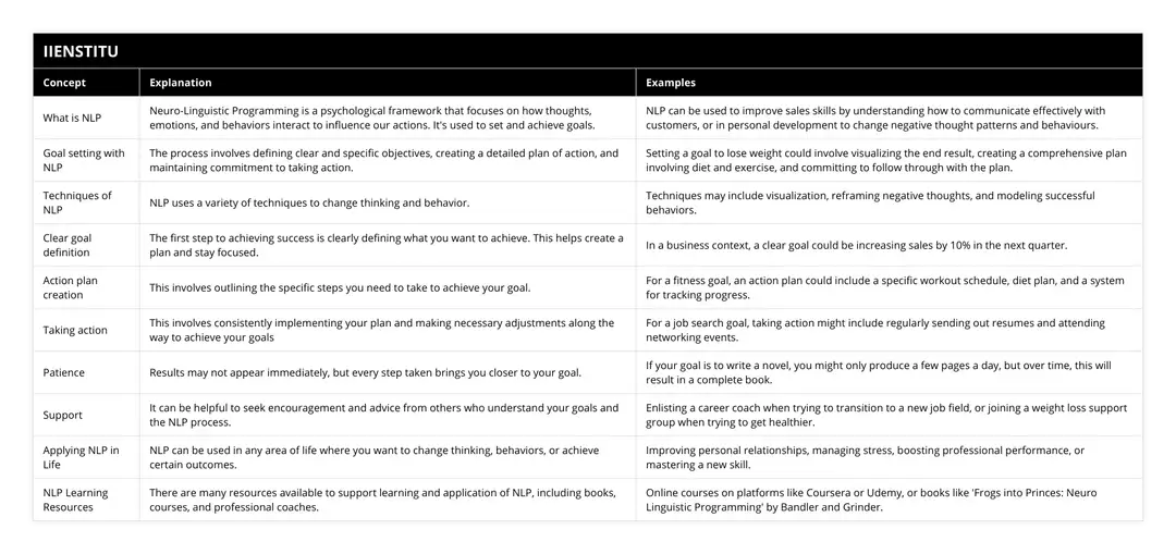 How To Use NLP Techniques To Achieve Your Goals? | IIENSTITU