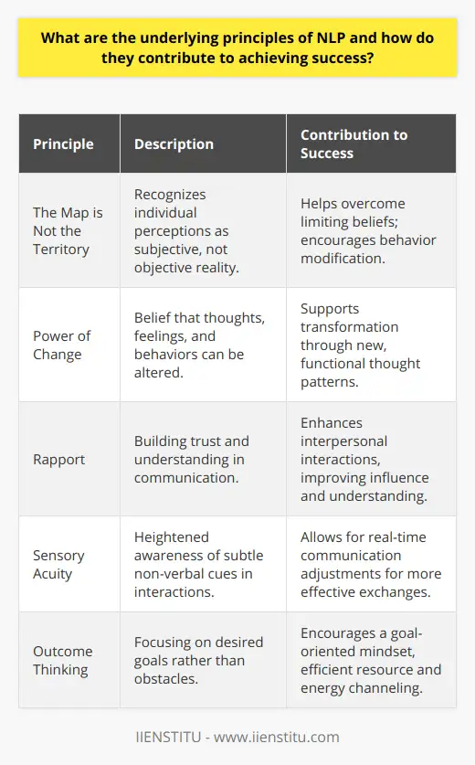 Nlp Goals Checklist.pdf How To Use NLP Techniques To Achieve Your Goals? | IIENSTITU
