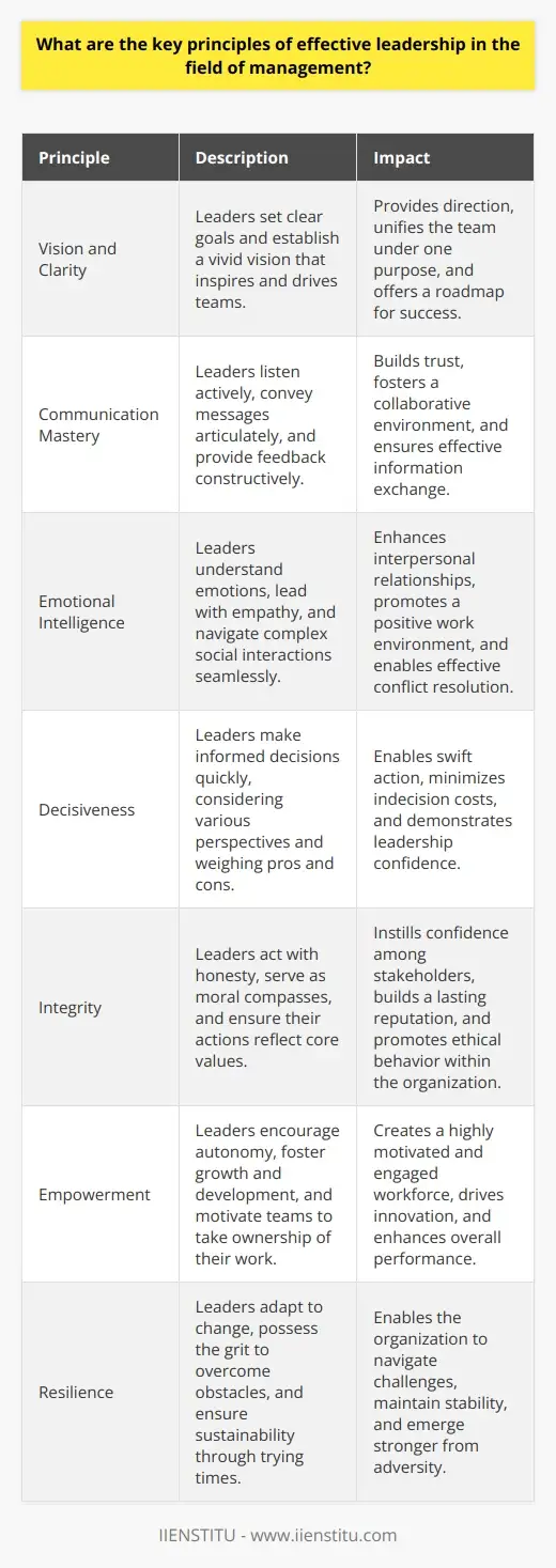 Leadership Essentials in Management Principles | IIENSTITU