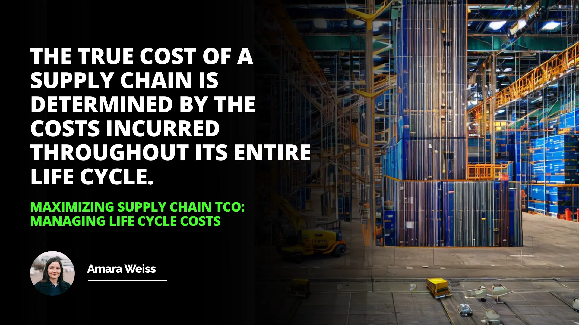 Maximizing Supply Chain TCO: Managing Life Cycle Costs