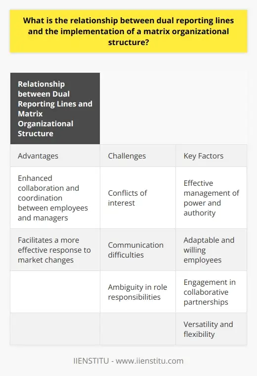 Cross Reporting Matrix Structure Navigating the Matrix: Product Leaders and… | IIENSTITU