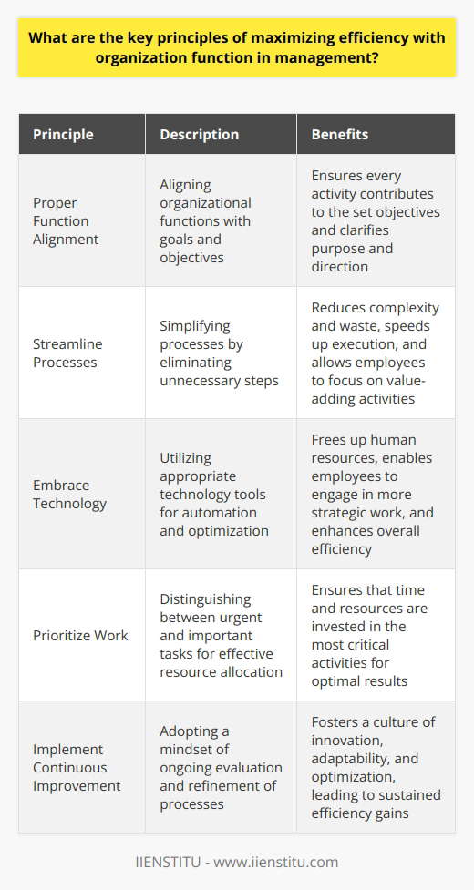 Support Function Efficiency Maximizing Efficiency with Organization… | IIENSTITU