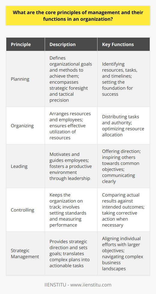 Management Principles Dark Principles of Management: Key Concepts Defined | IIENSTITU