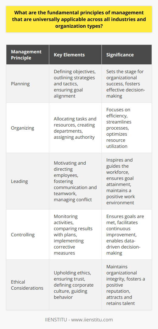 Management Principles Dark Principles of Management: Key Concepts Explained | IIENSTITU