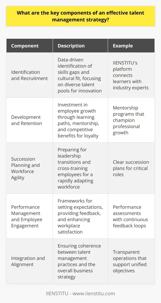 Realizing Talent Recruitment and Selection… | IIENSTITU