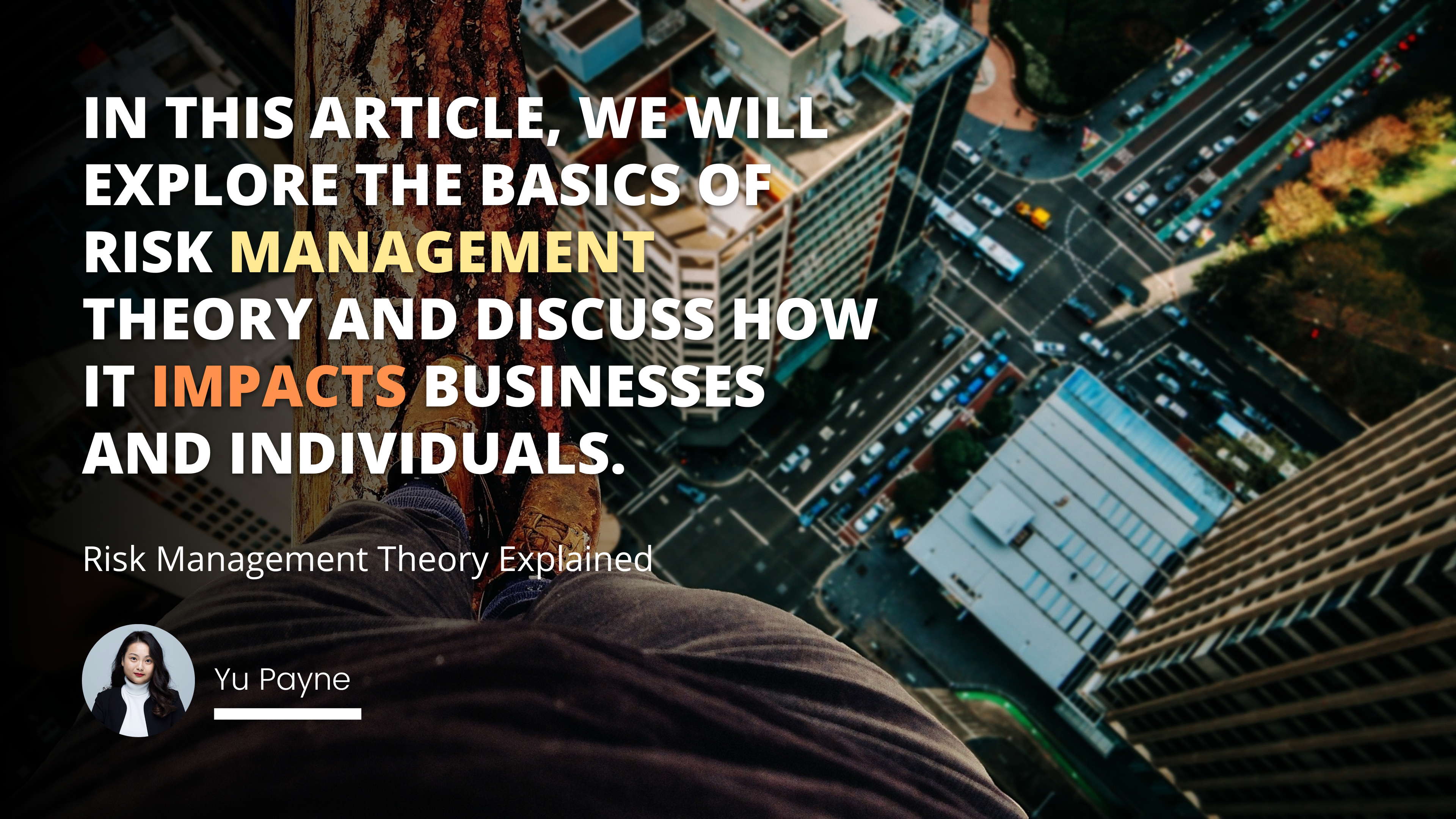 Risk Management Theory Explained