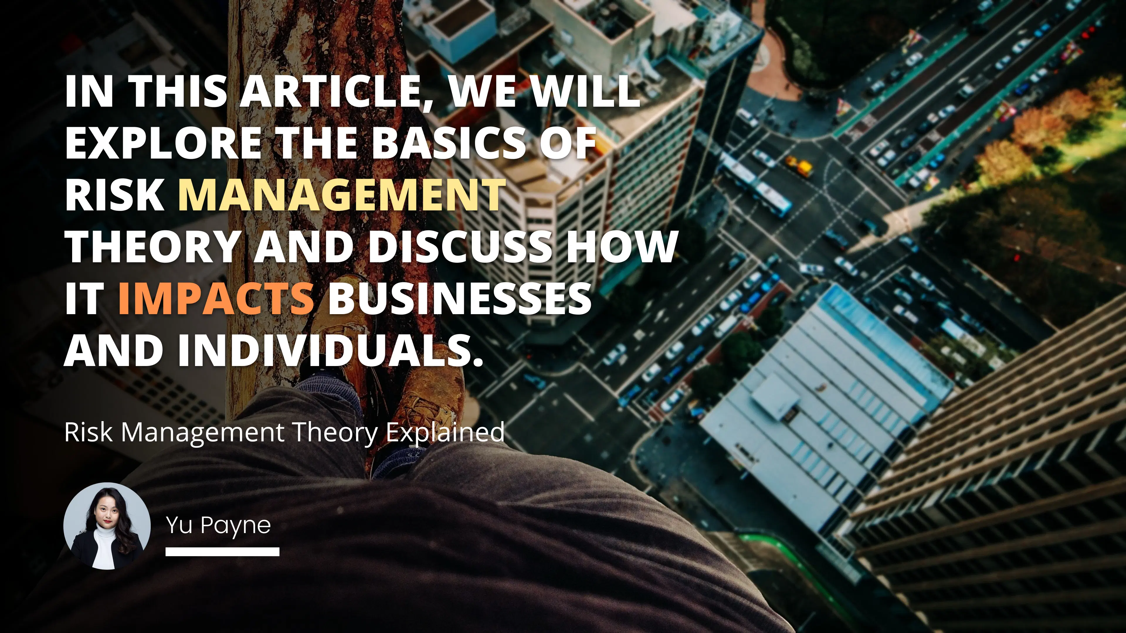 Risk Management Theory Explained