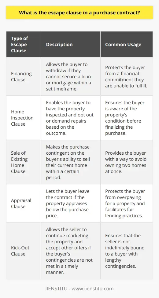 SEO: The Ultimate Escape Clause | IIENSTITU