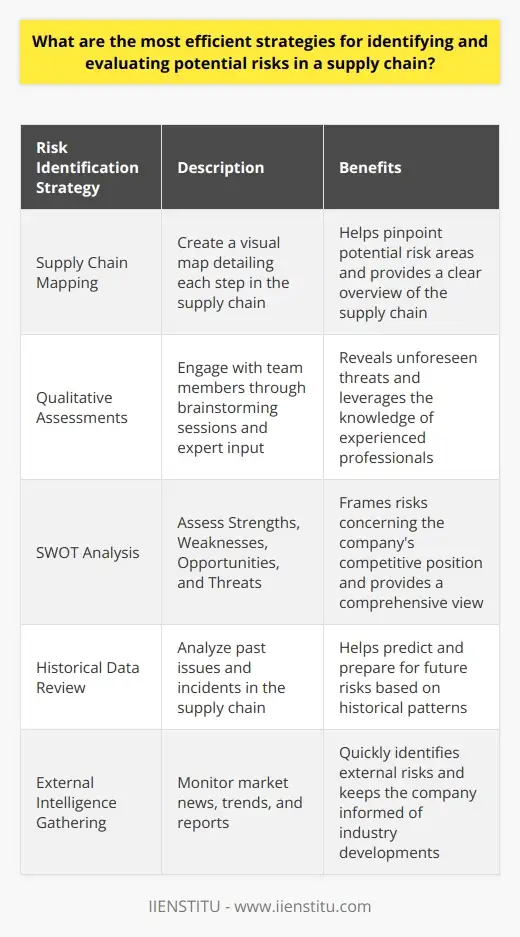 Efficient Strategies for Supply Chain Risk… | IIENSTITU