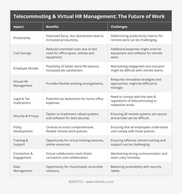 Telecommuting & Virtual HR: The Future of Work | IIENSTITU