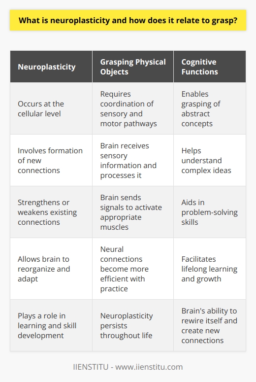 When we grasp something, whether it's a physical object or a concept, our brain undergoes changes in its structure and function. These changes are made possible by neuroplasticity.Neuroplasticity occurs at the cellular level in our brain. It involves the formation of new connections between neurons (nerve cells) and the strengthening or weakening of existing connections. This process allows our brain to reorganize and adapt in response to new experiences, learning, and even damage.Grasping requires the coordination of various sensory and motor pathways in our brain. For example, when we grasp a physical object, our brain receives sensory information from our eyes and hands, processes it, and sends signals to activate the appropriate muscles for a coordinated grasp.Neuroplasticity plays a crucial role in this process by enabling our brain to continually refine and adjust these pathways. As we practice and learn to grasp different objects, the neural connections involved in the process become more efficient and faster. This is why practicing a skill such as playing an instrument or learning a new language improves our proficiency over time.Moreover, neuroplasticity not only helps us improve our grasp of physical objects but also plays a role in cognitive functions. It allows us to grasp abstract concepts, understand complex ideas, and develop problem-solving skills. Our brain's ability to rewire itself and create new connections is what enables us to learn and adapt throughout our lives.It is essential to note that neuroplasticity is not solely limited to early childhood. Contrary to popular belief, our brain retains its plasticity throughout our lives, albeit to a lesser extent. This means that with consistent practice and exposure, we can continue to improve and refine our grasping abilities.In conclusion, neuroplasticity is a fundamental mechanism that underlies our brain's ability to adapt and change. It is closely related to our ability to grasp both physical objects and abstract concepts. By understanding and harnessing neuroplasticity, we can actively participate in lifelong learning, growth, and skill development.
