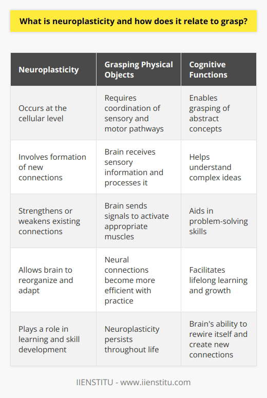When we grasp something, whether it's a physical object or a concept, our brain undergoes changes in its structure and function. These changes are made possible by neuroplasticity.Neuroplasticity occurs at the cellular level in our brain. It involves the formation of new connections between neurons (nerve cells) and the strengthening or weakening of existing connections. This process allows our brain to reorganize and adapt in response to new experiences, learning, and even damage.Grasping requires the coordination of various sensory and motor pathways in our brain. For example, when we grasp a physical object, our brain receives sensory information from our eyes and hands, processes it, and sends signals to activate the appropriate muscles for a coordinated grasp.Neuroplasticity plays a crucial role in this process by enabling our brain to continually refine and adjust these pathways. As we practice and learn to grasp different objects, the neural connections involved in the process become more efficient and faster. This is why practicing a skill such as playing an instrument or learning a new language improves our proficiency over time.Moreover, neuroplasticity not only helps us improve our grasp of physical objects but also plays a role in cognitive functions. It allows us to grasp abstract concepts, understand complex ideas, and develop problem-solving skills. Our brain's ability to rewire itself and create new connections is what enables us to learn and adapt throughout our lives.It is essential to note that neuroplasticity is not solely limited to early childhood. Contrary to popular belief, our brain retains its plasticity throughout our lives, albeit to a lesser extent. This means that with consistent practice and exposure, we can continue to improve and refine our grasping abilities.In conclusion, neuroplasticity is a fundamental mechanism that underlies our brain's ability to adapt and change. It is closely related to our ability to grasp both physical objects and abstract concepts. By understanding and harnessing neuroplasticity, we can actively participate in lifelong learning, growth, and skill development.