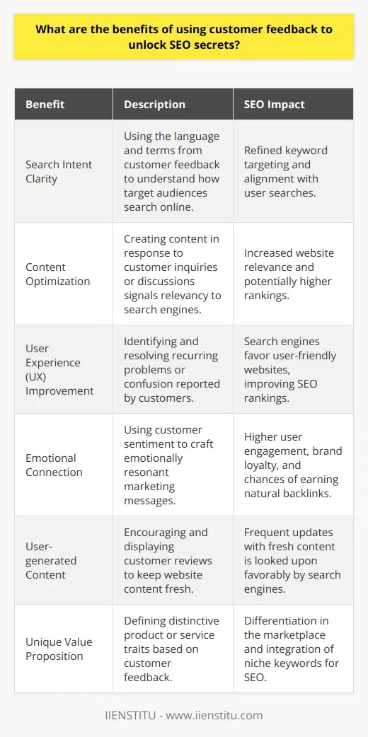 Unlock SEO Secrets with Customer Feedback | IIENSTITU