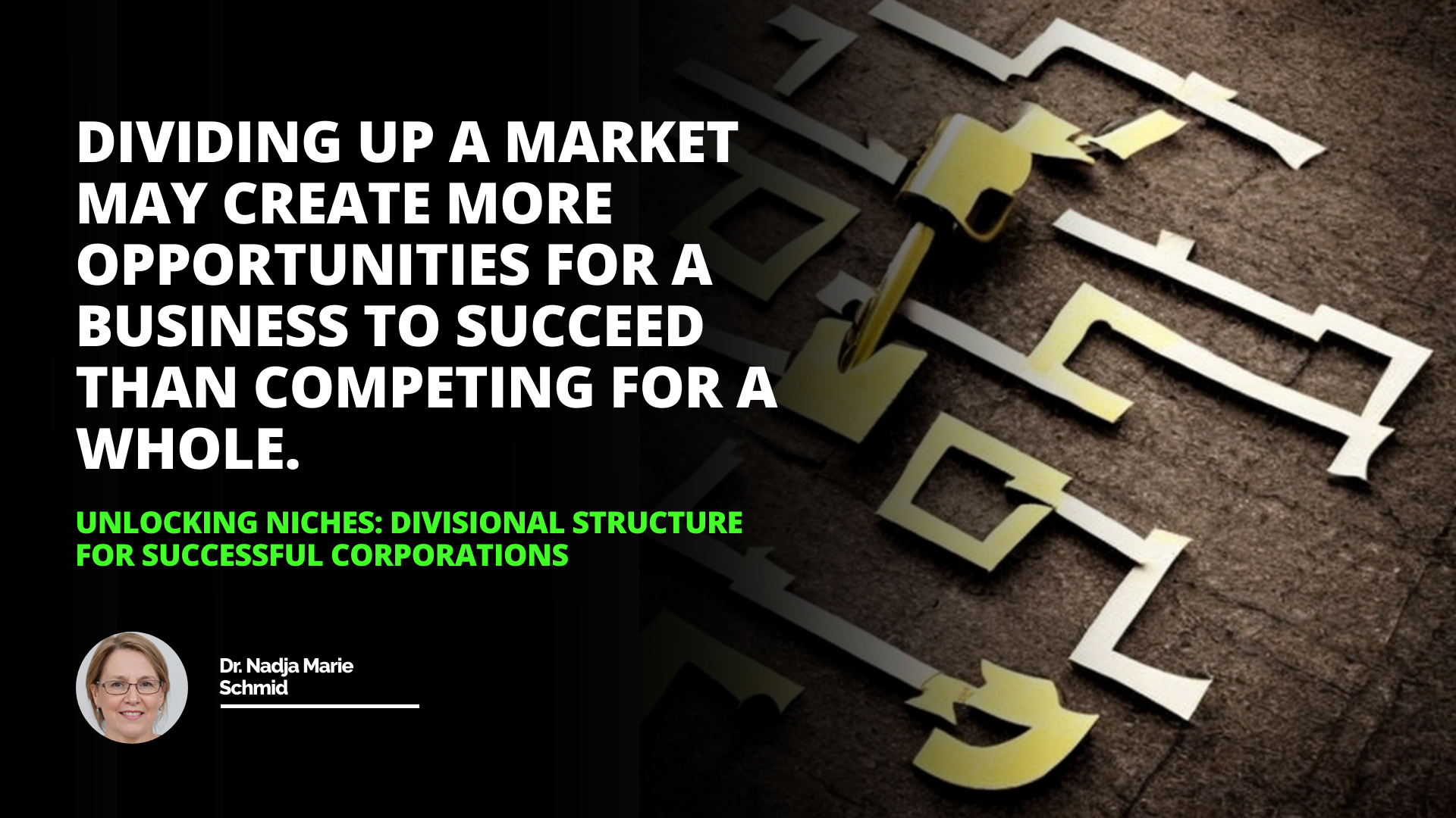 Unlocking Niches: Divisional Structure for Successful Corporations