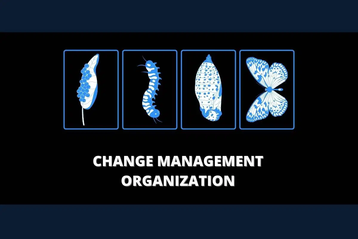 What is Change Management Organization?