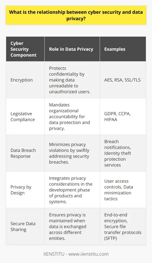 What Is Cyber Security, and Why Do You Need It? | IIENSTITU