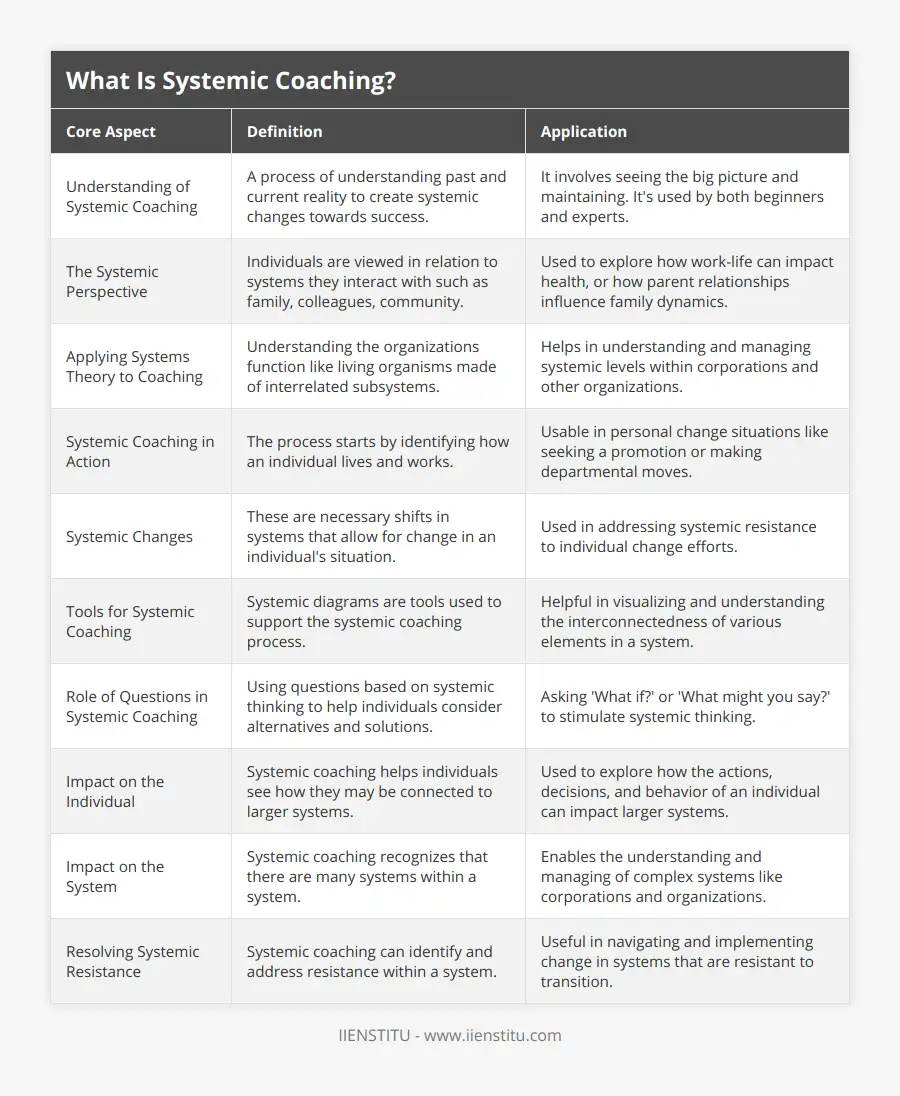 What Is Systemic Coaching? | IIENSTITU