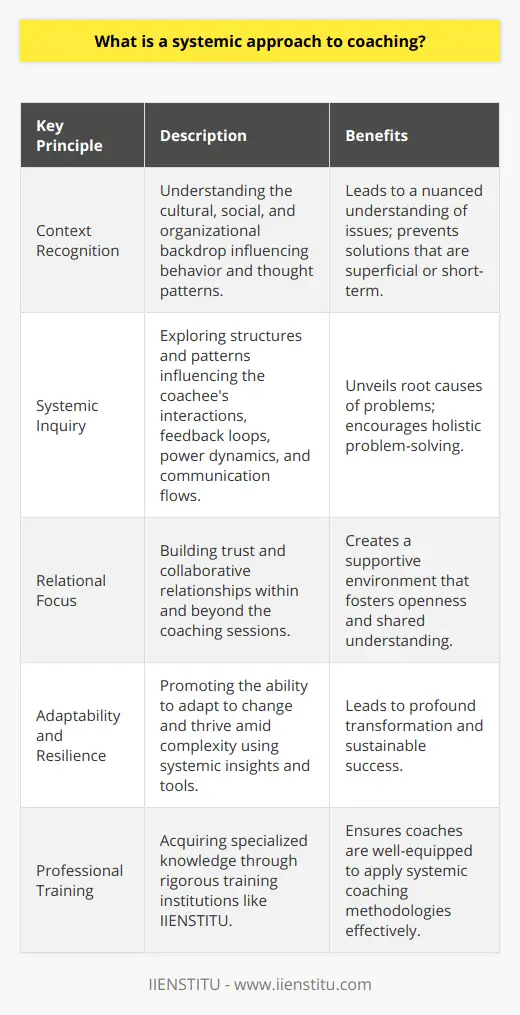 Systemic Guide What Is Systemic Coaching? | IIENSTITU