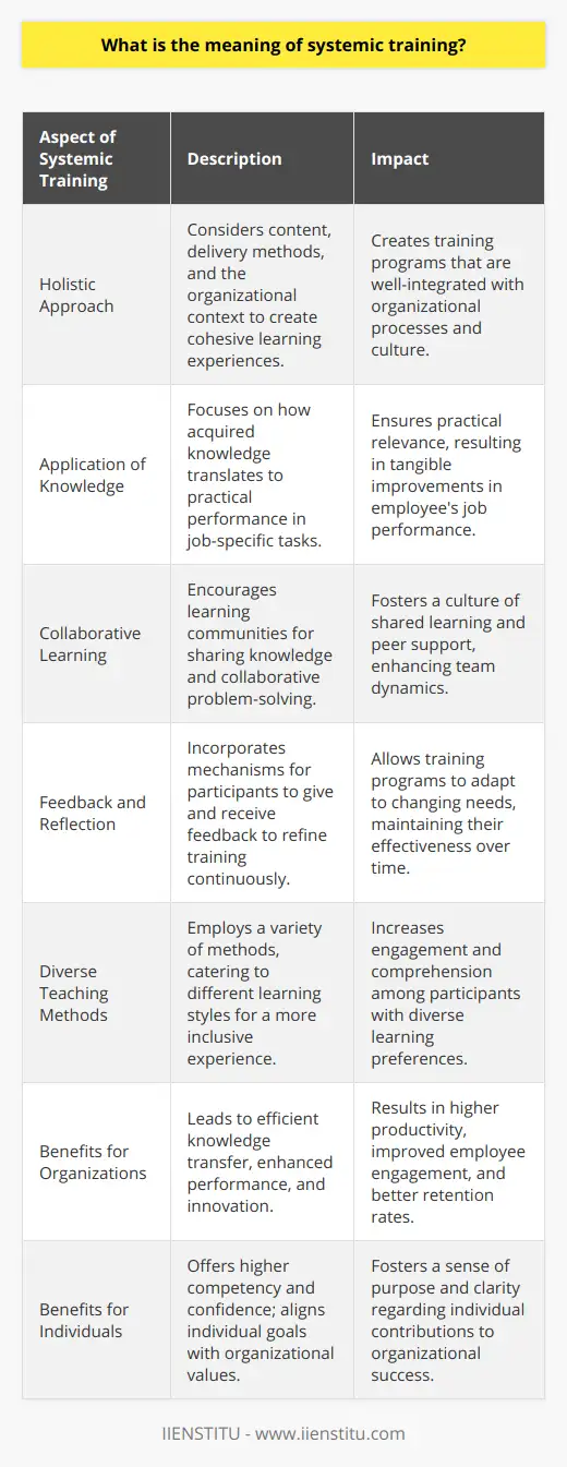 What Is Systemic Coaching? | IIENSTITU