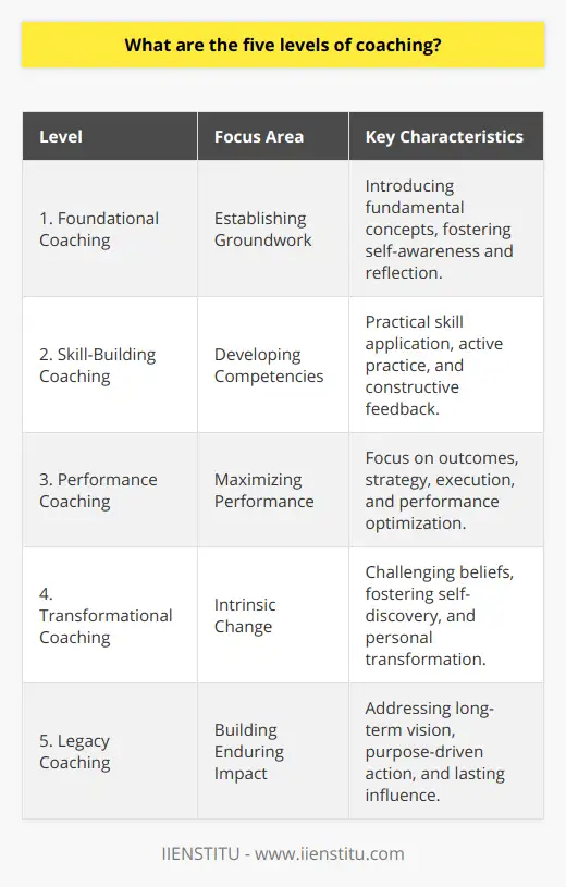 What Is Systemic Coaching? | IIENSTITU