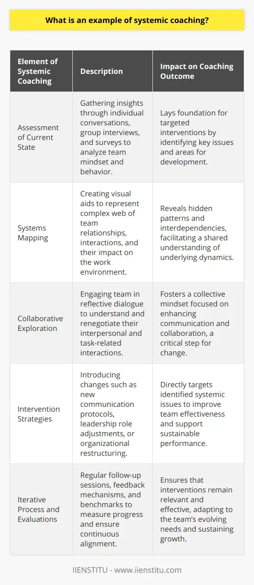 What Is Systemic Coaching? | IIENSTITU