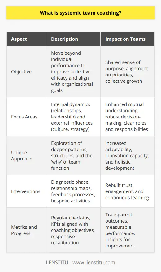 What Is Systemic Coaching? | IIENSTITU