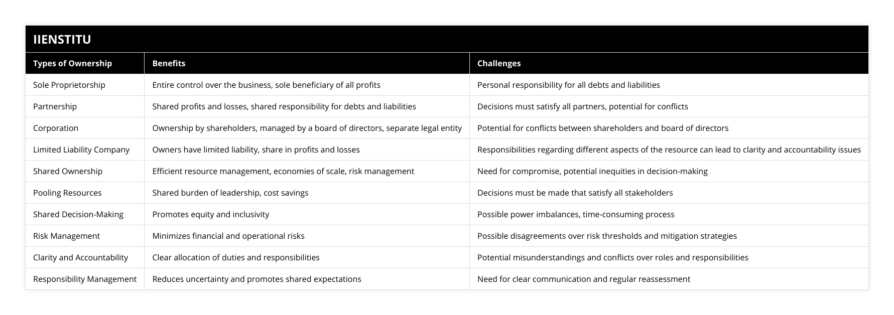 Sole Proprietorship, Entire control over the business, sole beneficiary of all profits, Personal responsibility for all debts and liabilities, Partnership, Shared profits and losses, shared responsibility for debts and liabilities, Decisions must satisfy all partners, potential for conflicts, Corporation, Ownership by shareholders, managed by a board of directors, separate legal entity, Potential for conflicts between shareholders and board of directors, Limited Liability Company, Owners have limited liability, share in profits and losses, Responsibilities regarding different aspects of the resource can lead to clarity and accountability issues, Shared Ownership, Efficient resource management, economies of scale, risk management, Need for compromise, potential inequities in decision-making, Pooling Resources, Shared burden of leadership, cost savings, Decisions must be made that satisfy all stakeholders, Shared Decision-Making, Promotes equity and inclusivity, Possible power imbalances, time-consuming process, Risk Management, Minimizes financial and operational risks, Possible disagreements over risk thresholds and mitigation strategies, Clarity and Accountability, Clear allocation of duties and responsibilities, Potential misunderstandings and conflicts over roles and responsibilities, Responsibility Management, Reduces uncertainty and promotes shared expectations, Need for clear communication and regular reassessment