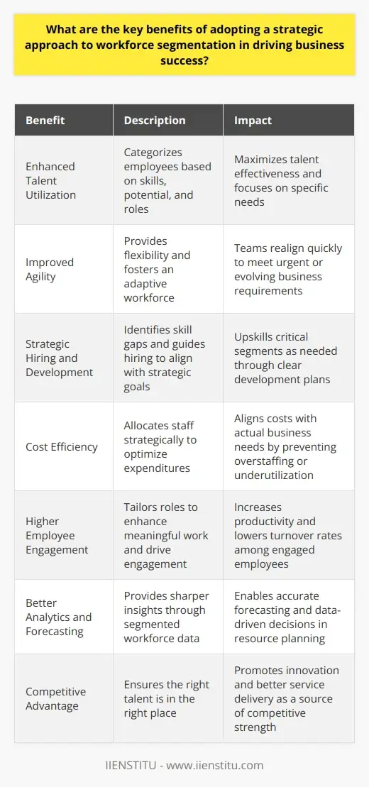 Workforce Segmentation: A Strategic Approach… | IIENSTITU