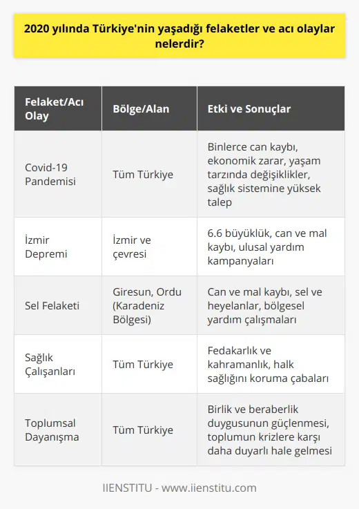 2020 yılında Türkiye, Covid-19 pandemisi ve doğal afetlerin yıkıcı etkilerini üst üste yaşadı. İlk olarak, küresel Coronavirus pandemisi, Türkiye'de de binlerce insanın yaşamını yitirmesine ve ekonomiye büyük zararlara yol açarak en önemli gündem maddelerinden biri oldu. Başta maske kullanımı ve sosyal mesafe gibi önlemler alınarak yaşam şekillerinde büyük değişikliklere gidildi. Uzaktan eğitim, alışveriş ve çalışma sistemleri, hayatın yeni normalleri haline geldi. Bu süreçte sağlık çalışanlarının fedakarlıkları ve kahramanca mücadelesi de unutulmamalıdır.Yine 2020 yılında Türkiye, doğal afetlerle de büyük sarsıntılar yaşadı. İzmir'de meydana gelen 6.6 büyüklüğündeki deprem, Türkiye'nin çeşitli yerlerinde de hissedildi ve özellikle İzmir'de büyük yıkıma yol açarak can kayıplarına neden oldu. AFAD, Kızılay ve vatandaşların seferber olarak yardım çalışmalarına katkıda bulunması, bu süreçte ülke genelinde birlik beraberlik duygusunu güçlendirdi.Karadeniz Bölgesi'nde yaşanan sel felaketi de büyük yıkımlara ve can kayıplarına neden olarak halkı zor durumda bıraktı. Özellikle Giresun ve Ordu'daki yoğun yağışlar sonucunda yaşanan sel ve heyelanlar, hem can hem de mal kayıplarına yol açarken, Türkiye genelinde yardım kampanyaları düzenlendi ve bu bölgelere destek olunmaya çalışıldı.2020 yılında yaşanan bu olaylar, toplumun dayanışma ve birlik duygusunu güçlendirdiği gibi, sağlık ve doğa konularında önlemlerin daha önemli olduğunu gözler önüne serdi. Pandemi ve doğal afetler, insanlığın zorluklar karşısında bir araya gelerek üstesinden gelebileceğini gösterirken, gelecekte bu tür felaketlere karşı daha hazırlıklı ve duyarlı olmamız gerektiğini de anımsattı. Türkiye'nin yaşanan bu felaketler ve acı olaylar karşısında ders çıkarması ve kriz yönetimi konularında daha etkin çalışmalar gerçekleştirerek örnek bir ülke olduğunu göstermesi büyük önem taşımaktadır.