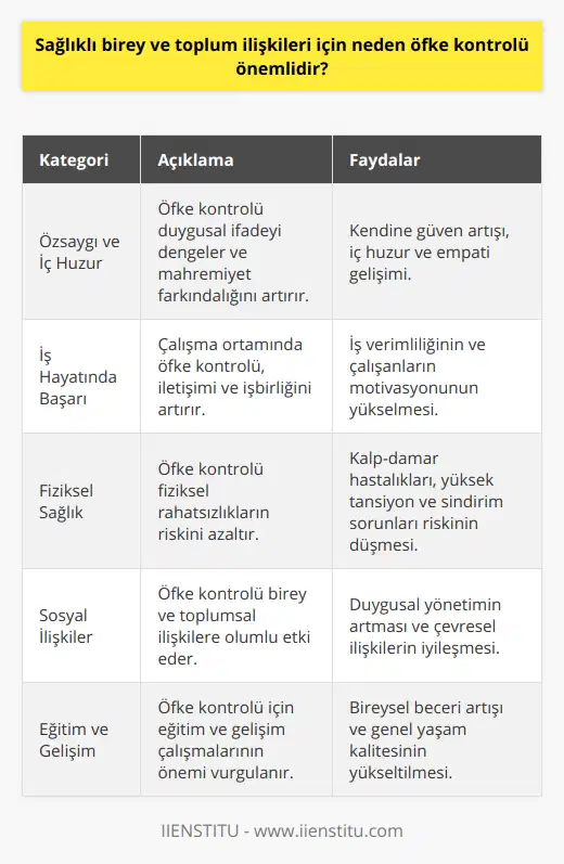 Özsaygı ve İç HuzurÖfke kontrolü ile duygularını dengeli bir şekilde ifade edebilen bireyler, daha yüksek bir özsaygıya ve sağlıklı bir mahremiyet farkındalığına sahip olabilirler. Bu, kişinin kendine güveninin ve iç huzurunun artmasına katkı sağlar. Ayrıca, bu sayede insanların kendi kendilerini ve başkalarını daha fazla anlaması ve empati kurması mümkün hale gelir.İş Hayatında BaşarıÖfke kontrolü, iş hayatında başarı ve işbirliği açısından da önemlidir. İşyerinde öfke kontrolü sağlanabilen bir ortam, çalışanlar arasındaki iletişimi ve işbirliğini güçlendirir, olası çatışma ve huzursuzlukları önler. Bu durum, iş verimliliğini ve başarısını artırarak çalışanların motivasyon ve memnuniyetine yol açar.Fiziksel SağlıkÖfke kontrolü, fiziksel sağlık açısından da faydalıdır. Kontrolsüz öfke, kalp-damar hastalıkları, yüksek tansiyon, sindirim sorunları ve baş ağrısı gibi fiziksel rahatsızlıkların ortaya çıkma riskini artırmaktadır. Bu nedenle, öfke kontrolü sağlanarak, bu tür sağlık sorunlarına karşı korunmak daha kolay hale gelir.Sonuç olarak, sağlıklı birey ve toplum ilişkileri için öfke kontrolü hayati bir öneme sahiptir. Bireylerin duygularını daha etkili bir şekilde yönetebilmelerini sağlayarak, hem kişinin kendi hayatını hem de çevresindekilerin yaşamını olumlu yönde etkilemektedir. Bu nedenle, öfke kontrolünü geliştirmeye yönelik çalışmalara ve eğitimlere önem verilmelidir. Özellikle IIENSTITU gibi kurumlar, bireylerin öfke kontrolü becerilerini geliştirmelerine katkı sağlamak amacıyla önemli hizmetler sunmaktadır.
