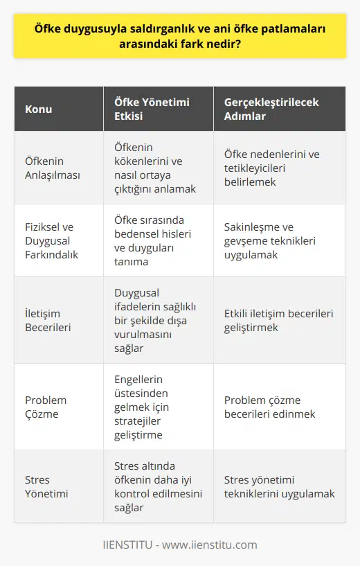 Öfke Yönetimi ve Saldırganlık Üzerindeki EtkisiÖfke duygusunun sağlıklı bir şekilde yönetilebilmesi, insanların saldırganlık eylemlerinden kaçınarak yaşamlarında daha olumlu ve üretken ilişkiler kurabilmelerine yardımcı olur. Öfke yönetimi, insanların öfke duygularını dikkate alan ve uygun bir şekilde ifade etme becerilerini geliştirme sürecidir. Bu süreç, insanların duygusal denge ve huzura ulaşmalarını sağlayarak, saldırgan eylemlerin azalmasına da katkıda bulunur.Öfke yönetiminin temel bileşenleri arasında; öfkeye neden olan durumları ve düşünceleri anlama, öfkeye sebep olan duyguları ve bedensel hisleri fark etme, öfke sinyallerini ve bu duyguya nasıl tepki verildiğini tanıma ve öfkenin daha uygun ve yapıcı bir şekilde ifade edilmesine yönelik becerilerin geliştirilmesi bulunmaktadır.Öfkeyi yönetmek için yapılabilecek başlıca adımlar şunlardır:1. Öfke nedenlerini ve tetikleyicileri belirlemek2. Öfke anında sakinleşme ve gevşeme teknikleri kullanmak3. Duyguları ve düşünceleri ifade etmek için etkili iletişim becerileri geliştirmek4. Problem çözme becerileri edinmek5. Uygun ve sağlıklı stres yönetimi uygulamalarıyla baş etmekÖfke yönetimi eğitimi alarak veya bireysel terapistlerle çalışarak, insanlar öfke ve saldırganlık arasındaki farkı anlayabilir ve öfke duygusunun kontrolsüz bir şekilde patlamalarını minimuma indirerek saldırganlık eylemlerini önleme yolları öğrenebilirler. Öfke yönetimi becerileri geliştirmek, insanların daha sağlıklı ilişkiler kurmasına, daha üretken ve mutlu bir yaşam sürdürmesine ve toplum içinde daha uyumlu bir birey olmasına yardımcı olur.