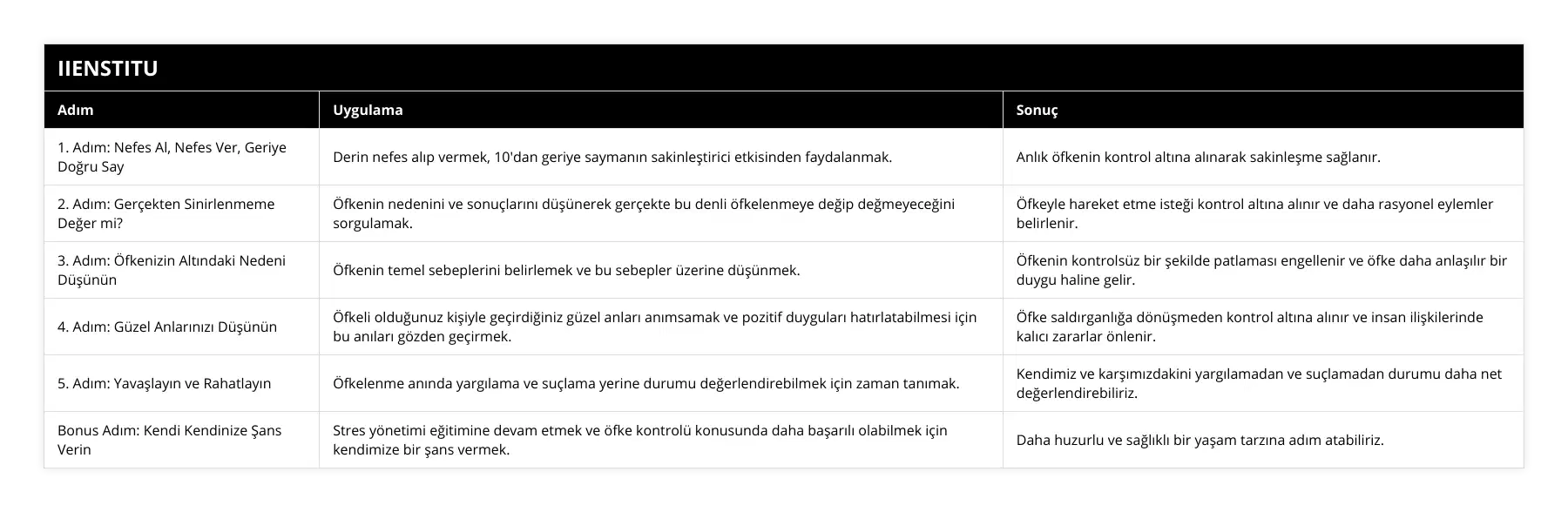 1 Adım: Nefes Al, Nefes Ver, Geriye Doğru Say, Derin nefes alıp vermek, 10'dan geriye saymanın sakinleştirici etkisinden faydalanmak, Anlık öfkenin kontrol altına alınarak sakinleşme sağlanır, 2 Adım: Gerçekten Sinirlenmeme Değer mi?, Öfkenin nedenini ve sonuçlarını düşünerek gerçekte bu denli öfkelenmeye değip değmeyeceğini sorgulamak, Öfkeyle hareket etme isteği kontrol altına alınır ve daha rasyonel eylemler belirlenir, 3 Adım: Öfkenizin Altındaki Nedeni Düşünün, Öfkenin temel sebeplerini belirlemek ve bu sebepler üzerine düşünmek, Öfkenin kontrolsüz bir şekilde patlaması engellenir ve öfke daha anlaşılır bir duygu haline gelir, 4 Adım: Güzel Anlarınızı Düşünün, Öfkeli olduğunuz kişiyle geçirdiğiniz güzel anları anımsamak ve pozitif duyguları hatırlatabilmesi için bu anıları gözden geçirmek, Öfke saldırganlığa dönüşmeden kontrol altına alınır ve insan ilişkilerinde kalıcı zararlar önlenir, 5 Adım: Yavaşlayın ve Rahatlayın, Öfkelenme anında yargılama ve suçlama yerine durumu değerlendirebilmek için zaman tanımak, Kendimiz ve karşımızdakini yargılamadan ve suçlamadan durumu daha net değerlendirebiliriz, Bonus Adım: Kendi Kendinize Şans Verin, Stres yönetimi eğitimine devam etmek ve öfke kontrolü konusunda daha başarılı olabilmek için kendimize bir şans vermek, Daha huzurlu ve sağlıklı bir yaşam tarzına adım atabiliriz