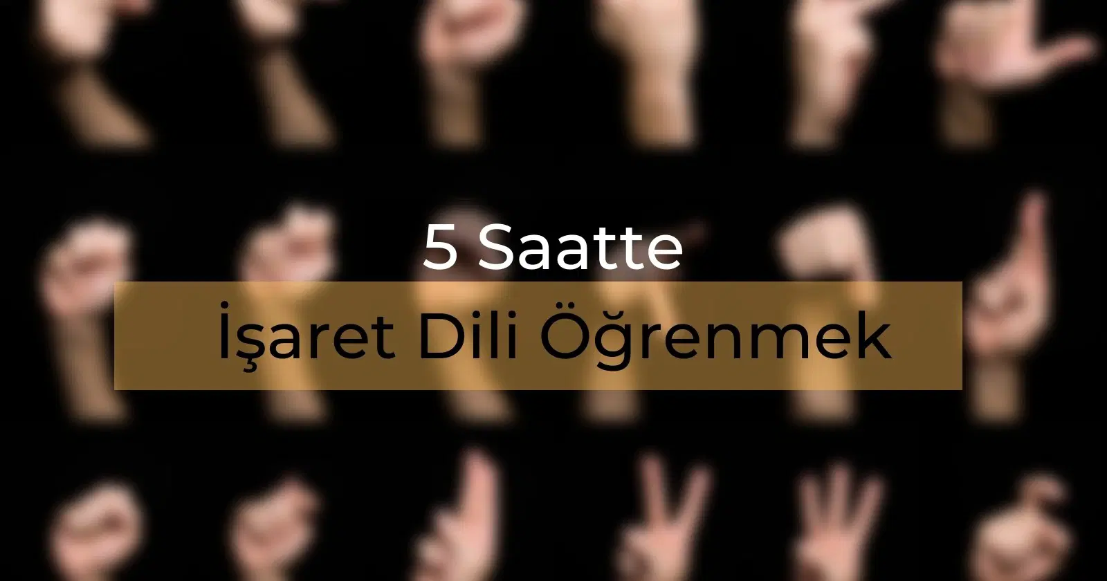 5 Saatte İşaret Dili Öğrenmek. Herkes Öğrenebilir!