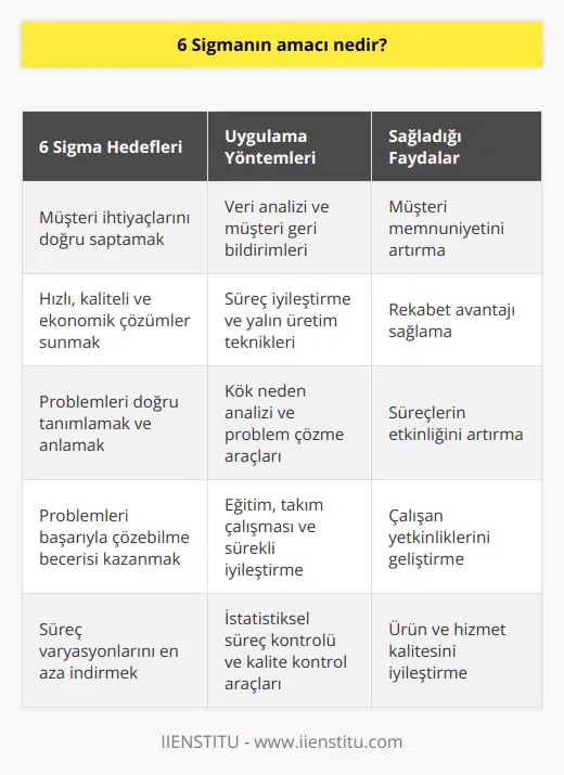 İş dünyasında müşterilerin ihtiyaçlarını doğru saptamaktan, bu ihtiyaçları hızlı, kaliteli aynı zamanda da daha ekonomik şekilde karşılamaktan geçiyor. İşletmeler problemlerini doğru olarak saptamalı, tanımalı ve anlamalıdır. 6 sigmanın amacı bu problemleri başarıyla çözebilme becerisini en üst düzeye çıkarmayı amaçlıyor.