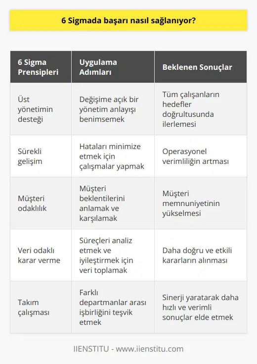 Öncelikle firmaların üst yönetimin desteğini alarak değişime açık olmaları gerekir. Üst yönetimin sürece inanarak liderlik etmesi, çalışan personele göstermesi ve aynı hedef doğrultusunda ilerlemek gerekir.   nde sıfır hata ve    ve sürekli gelişme duygusuyla hareket edilmesi ile başarı sağlanır.