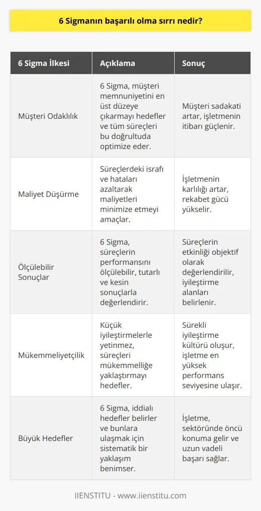6 sigma, maliyetleri düşürerek müşteri memnuniyeti hedefleyerek çalışması diğer programlardan en önemli farkıdır. Ölçülebilir, tutarlı ve kesin sonuçlar vermesi, mükemmele yakın olmasını sağlar. Küçük küçük yapılan iyileştirmelerle yetinmez, büyük hedefler koyar ve bunlara ulaşır.