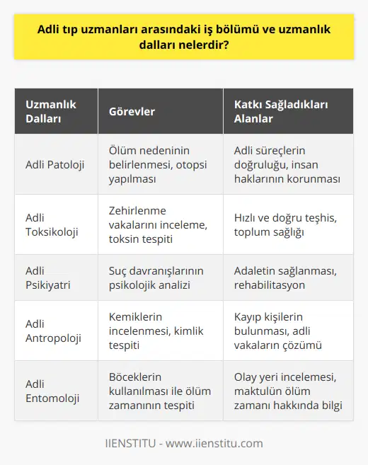 Adli tıp uzmanlarının görevleri ve uzmanlık alanları, her bir olayın özelliklerine göre değişiklik gösterir ve takım çalışması büyük önem taşır. Bu alanlarda yetişmiş uzmanlar, zorlu adli süreçlerin daha hızlı ve doğru bir şekilde ilerlemesine katkı sağladıkları gibi, toplumun adalet duygusunun korunmasına da yardımcı olurlar. Bu nedenle, adli tıp uzmanları her geçen gün daha büyük öneme sahip olmaktadır ve bu dallarda yetişmiş profesyonellere olan ihtiyaç giderek artmaktadır. Türkiye'de ve dünyada yaşanan olaylar ve gelişen teknoloji ile birlikte bu uzmanlık dallarındaki bilgi birikimi ve deneyimler de sürekli olarak yeniliklere ve gelişmelere açıktır. Bu sayede, adli süreçlerin daha sağlıklı yürütülmesi ve insan haklarının korunması amaçlarına hizmet etmektedirler.
