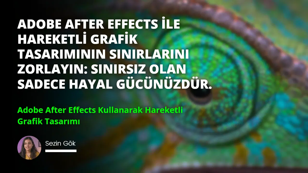 Adobe After Effects Kullanarak Hareketli Grafik Tasarımı