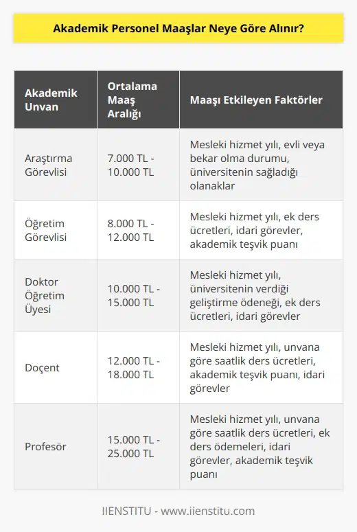 Akademik personel maaşları oldukça değişken olduğunu belirtebiliriz. Bu değişkenlerin en temel nedeni ise; mesleki hizmet yılı, mesleki unvanı, üniversite tarafından verilen geliştirme ödeneği, unvana göre saatli ders ücretleri, ek ders kapsamında verilen ödemeler, görev yapmış olduğu üniversitedeki herhangi bir idari görevinin olması, akademik teşvik puanı ve bekar veya evli olması.