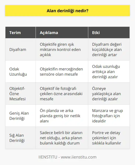 Alan derinliği fotoğrafçılıkta en çok kullanılan tekniklerden biridir. Net alan derinliği, tanım olarak fotoğraf makinesinin bizim gözümüzden farklı olarak sadece belirli alanları gözlemesi sonucunda objektifinin odaklanma noktasının yakınında ve uzağında bulunan netlik alanlarıdır. Net alan derinliği diyaframın değerine, objektifin odak uzunluğuna ve geniş ya da sığ alan derinliğini meydana getirir.