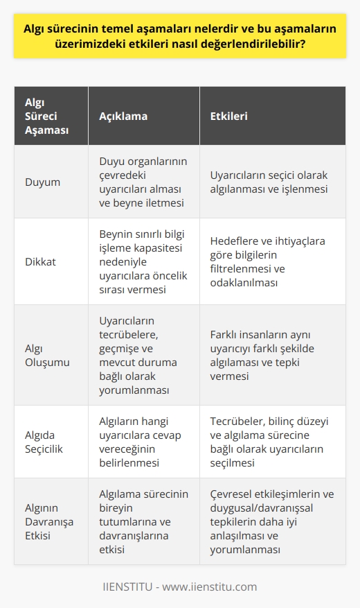 Algı sürecinin temel aşamaları ve çevresel etkileşimlerimiz Algı sürecinin temel aşamaları, duyum, dikkat, algı oluşumu ve algıda seçicilik olarak dört ana bölüme ayrılabilir. Bu süreçteki her aşama, çevremizdeki uyarılara verdiğimiz tepkileri ve sonuçta oluşan tutum ve davranışlarımızı etkiler. Duyum aşamasında, duyu organlarımız çevremizdeki objelerden, ışıktan, seslerden ve şekillerden yansıyan enerjiyi algılar. Bu enerji, seçici bir şekilde duyu organlarımız tarafından alınır ve beyne iletilir. Dikkat aşamasında ise beyin, bilgi işleme kapasitesinin sınırlı olması nedeniyle alınan bilgilere öncelik sırası verir. Beyin, mevcut hedeflerimize veya ihtiyaçlarımıza göre bilgileri filtreler ve hangi bilgilere dikkat edeceğimize karar verir. Duyum ve dikkat aşamalarından sonra oluşan algı oluşumu aşamasında ise, alınan uyarıcılar, kişinin tecrübelerine, geçmişine ve mevcut durumuna bağlı olarak beyinde yorumlanır ve algı oluşturulur. Son aşamada, algıda seçicilikle, algılarımızın hangi uyarıcılara cevap vereceği belirlenir. Kişinin tecrübeleri, bilinç düzeyi ve algılama süreci çerçevesinde etrafındaki uyarıcıları seçer. Bu süreç, farklı insanların aynı durumu veya uyarıcıyı farklı bir şekilde algılarını ve farklı tepkiler vermesini açıklar. Örneğin, bir yetişkin ile bir çocuk aynı portakalı görse bile, yetişkin bu objeyi bir meyve olarak algılarken, çocuk bu objeyi bir oyun oynağı olarak algılayabilir. Kişinin algı süreci ve beyindeki bilgi işleme kapasitesi, algının oluşmasında ve sonraki tepki ve davranışların belirlenmesinde belirleyici olur. Algı süreci ve algılamanın bireyin davranışlarına etkisi üzerine yapılan araştırmalar, bireyin çevreyle etkileşimini ve bu etkileşimin bireyin tutum ve davranışlarını nasıl etkilediğini daha iyi anlamamızı sağlar. Algılama sürecinin anlaşılması, insanların duygusal ve davranışsal tepkilerinin ve tutumlarının daha iyi anlaşılmasına ve yorumlanmasına yardımcı olabilir. Sonuç olarak, algılama süreci, çevremizdeki uyarıcıları anlamamızı, yorumlamamızı ve bu uyarıcılara tepki vermemizi sağlar. Algı sürecindeki her aşama, bireyin tutumlarına ve davranışlarına etki eder ve bireyin çevresel etkileşimlerini belirler. Kaynak: PSİKOLOJİ, İskender, Saygın., Psikoloji Dergisi, Türk Psikoloji Derneği, 2005.