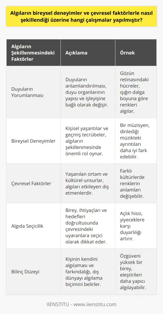 Algıların Bireysel Deneyimler ve Çevresel Faktörlerle Şekillenmesi  İnsanların dünyaya bakış açısı ve çevresel faktörler, duyularımızı ve algılarımızı büyük ölçüde etkiler. Bu konuda yapılan çalışmalar, yaşadığımız çevredeki duyum, renk ve şekil gibi unsurları nasıl birbirinden ayırabildiğimizi ve bu süreçte çevre ve deneyimlerin nasıl bir rol oynadığını incelemek için çeşitli yöntemler kullanmıştır.  Duyuların Yorumlanması ve Algılarımızın Oluşumu  Günlük yaşamda, çevredeki nesne, ışık, ses ve şekiller gibi sayısız uyarana maruz kalırız. Bir duyuya yorum katararak, bu uyarıcıların daha anlamlı hale gelmesini sağlarız. Bu yorumlama süreci, duyu organlarının yapısı ve işleyişine bağlı olarak değişir. Duyumları kendi yorumlarımızla anlamlı hale getirdiğimizde, bu olaylara ilişkin algılar oluştururuz.  Algıda Seçicilik ve İçgüdü  Mevcut hedeflerimize ve ihtiyaçlarımıza dayalı olarak, algıda seçicilik sayesinde çevremizdeki bilgilere dikkat ederiz. İşlem kapasitemizin sınırlı olduğu için beyin, sürekli olarak uğraşmak zorunda olduğu bilgi miktarını en aza indirmeye çalışır. Bu sayede, önemli veya ilgili olanlara odaklanabilmemiz mümkün olur.  Bilinç Düzeyi ve Algılama Seviyesi  İnsanların dünyayı algılama seviyesi, bilinç düzeyine bağlı olarak değişir. İnsan daima görmek istediğini görmeye eğilimlidir. Kişinin kendini algılaması ve bilinç bakımından kendisinin farkına varması, dış dünyayı hangi bakış açısıyla algılayacağının kriterini belirler.  Sonuç olarak, algılarımızın bireysel deneyimler ve çevresel faktörlerle şekillendiği üzerine yapılan çalışmalar, yaşadığımız dünyayı nasıl algıladığımız ve bu süreçte deneyimlerimizin nasıl etkili olduğunu göstermektedir. Algıların şekillenmesi sürecinde, duyuların yorumlanması, algıda seçicilik ve bilinç düzeyi önemli faktörler olarak yer alır.