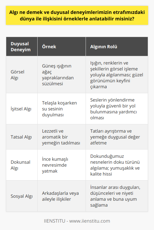 Örneklerle Duyusal Deneyimlerin Dünya ile İlişkisini AçıklamakAlgı, doğal olarak evrende bizi çevreleyen fenomenlerle doğrudan ilgilidir ve yaşantılarımızı şekillendiren faktörlerden biridir. İşte algıyla ilgili bazı somut örnekler:1. Görsel Algı: Bir öğleden sonra ağaçların altında yürürken, güneş ışığı ağaçların yaprakları arasından süzülür ve oldukça hoş bir görüntü oluşturur. Bu durum, görsel algımızın, ışığı ve dolayısıyla renkleri ve şekilleri nasıl işlediğini gösterir. Aynı zamanda, bu hoş manzara, bize iyi bir duygu verir ve yaşadığımız anın tadını çıkarırız.2. İşitsel Algı: Bir ormanda mahsur kaldığınızda, sağa sola telaşla koşarken, su kabarcıkları gibi hafif, canlandırıcı bir sese dikkatle kulak verir ve bu sesin doğru yere ulaşacağınızı umarak, sesin yönlendirdiği doğrultuda hareket edersiniz. İşitsel algı, bu durumlarla başa çıkmanıza yardımcı olur ve kulağınıza gelen seslerle ilişkilendirebileceğiniz bilgilerle güvenilir bir yolunuzu bulmanızı sağlar.3. Tatsal Algı: Lezzetli ve aromatik bir yemek yediğinizde, ağzınızdaki tat alıcıları bu deneyimin bir parçasıdır. Tuzlu, tatlı, ekşi, acı gibi tatları ayırt etme ve yemek ile ilgili dufgusal bir değer atfetme süreci işleyerek meydana gelir.4. Dokunsal Algı: İnce kumaşlarla süslenmiş şık ve lüks bir nevresimde uyumak, uyku deneyiminizin büyük ölçüde tadını çıkarmanızı sağlar. Dokunsal algı yeteneğimiz sayesinde, dokunduğumuz şeylerin yumuşak mı sert mi olduğunu, yüksek kaliteli kumaşların kalitesini anlayabiliriz.5. Sosyal Algı: Arkadaşlarımız veya aile üyelerimizle güçlü ilişkiler kurmak ve sürdürmek, sosyal algı ile ilgilidir. Sosyal algı kabiliyetimiz sayesinde, insanların duygularını, düşüncelerini ve amacını anlamak ve uyum sağlamak için beden dili, ses tonu ve diğer sözlü ve sözsüz ipuçlarını kullanırız.Sonuç olarak, algı, dünyada etrafımızı çevreleyen olaylarla doğrudan ilgilidir ve günlük yaşantımızı şekillendiren önemli bir süreçtir. Bu süreç, her deneyimin zengin ve karmaşık hikayesine katkıda bulunur ve yaşamlarımızı farkında olmadan zenginleştirir. Algı, dünyayı anlamlandırmamızı ve onunla etkileşime geçmemizi sağlayan değerli bir beceridir.